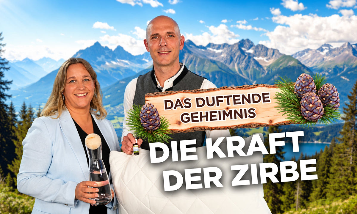 Das duftende Geheimnis: Die Kraft der Zirbe