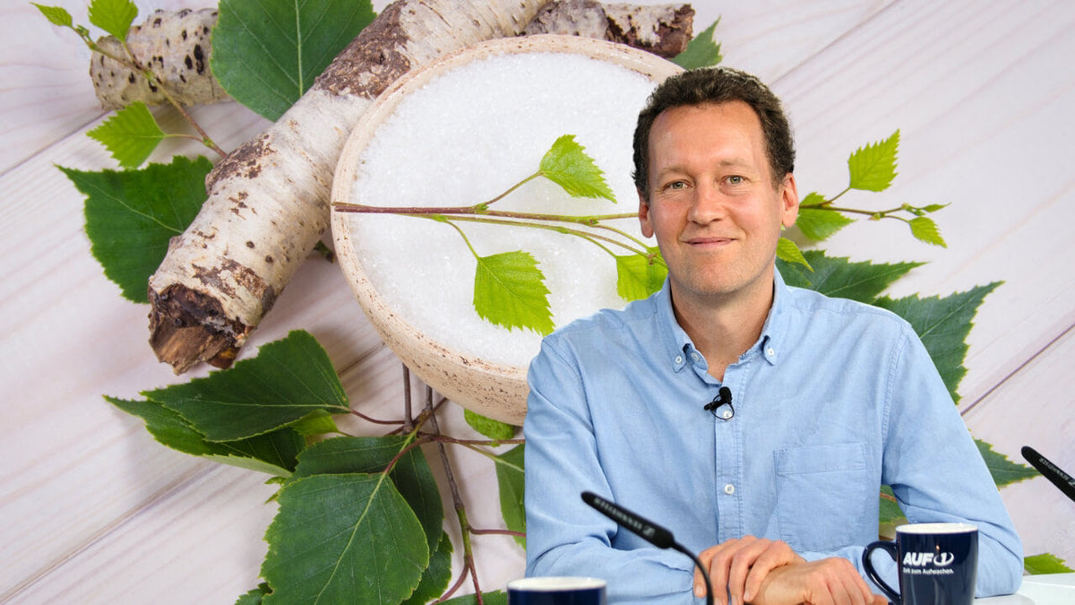 Birkenzucker Xylit: Die Alternative zu Industriezucker