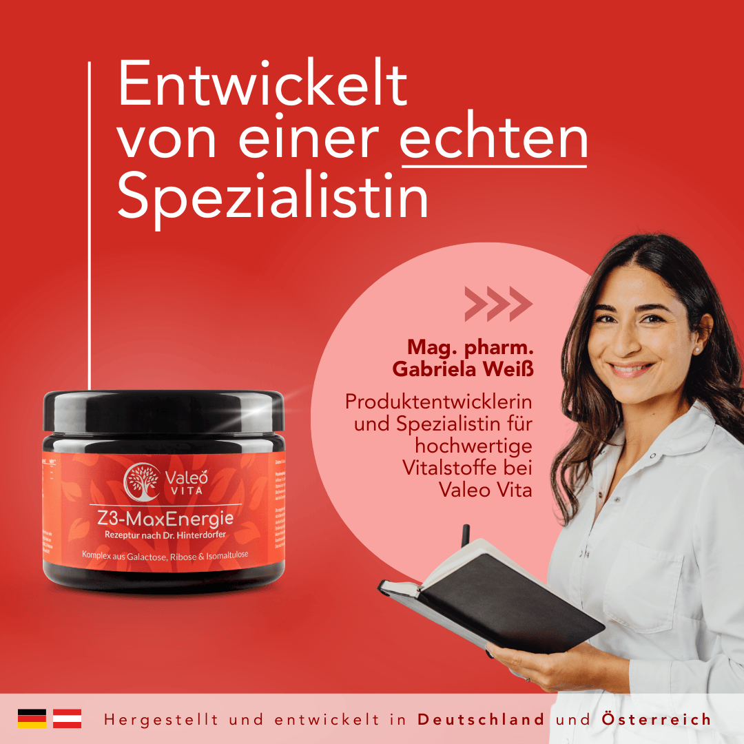 Z3-MaxEnergie