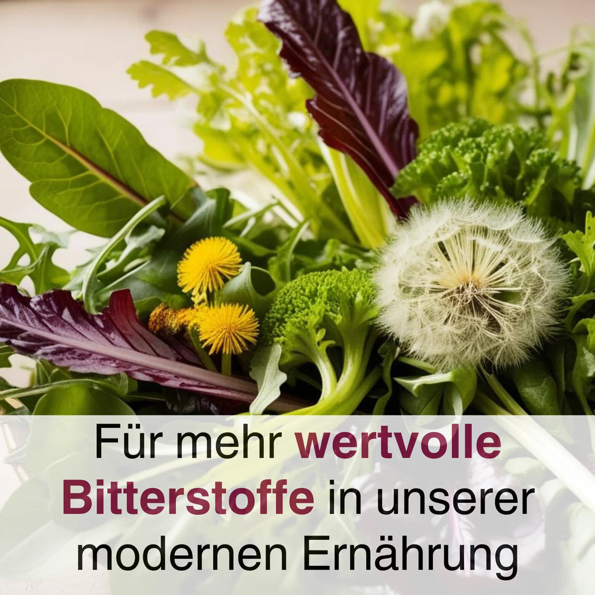 ANCENASAN® 49 Bittertropfen-Konzentrat mit Alkohol (100ml)