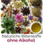 ANCENASAN® herbal 49 Bitterkräuter und Gewürze (40g)