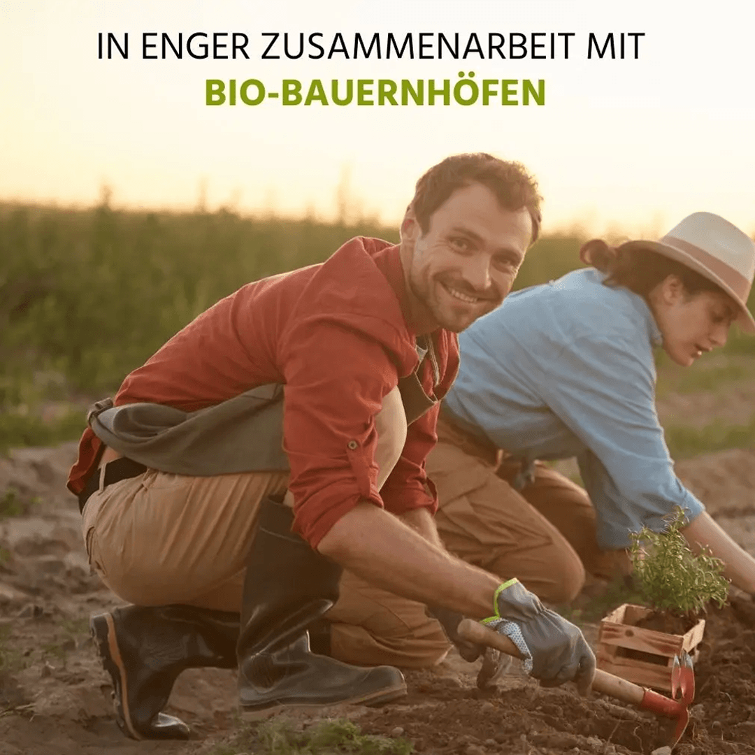Bio Pfefferminze Tinktur