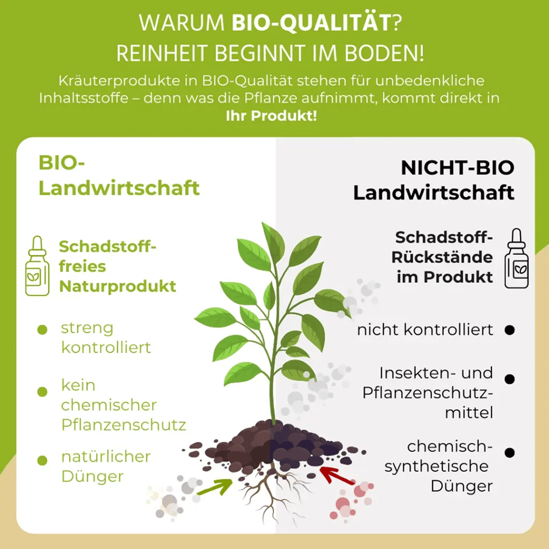 Bio Pfefferminze Tinktur