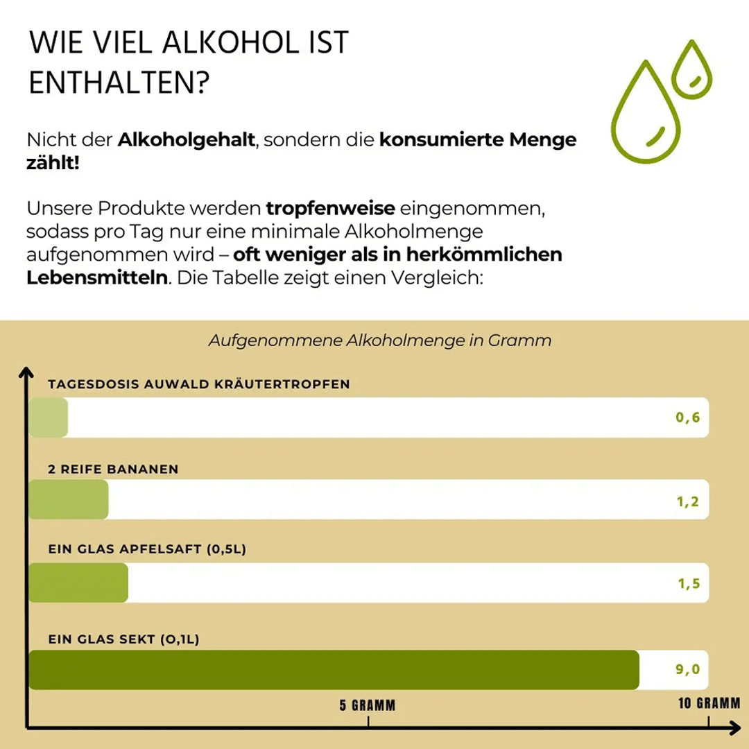 Bio Pfefferminze Tinktur
