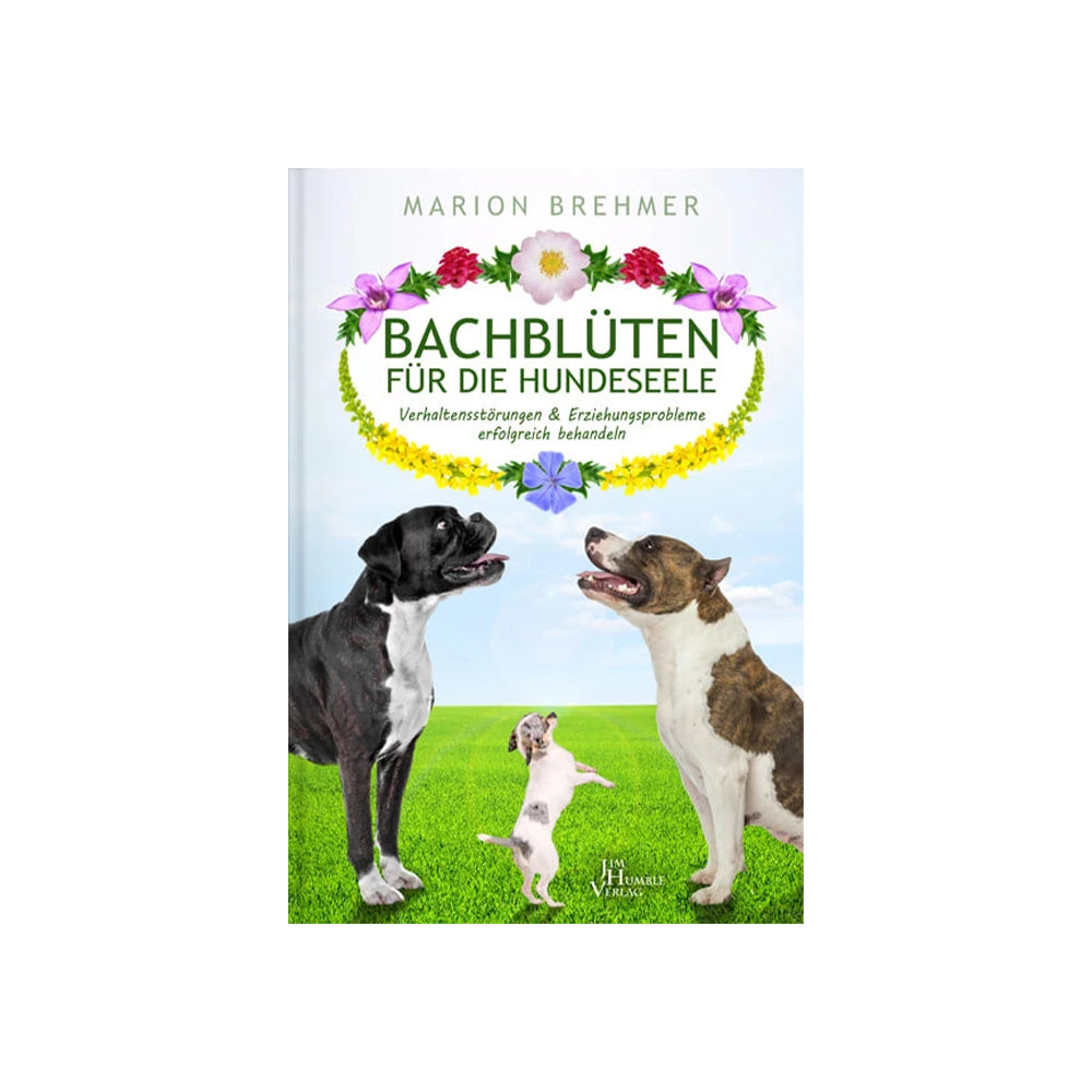 Bachblüten für die Hundeseele