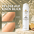 HIVE RECOVER After Sun Lotion