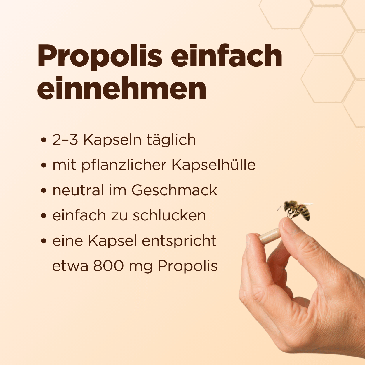 Bio Propolis Kapseln (60 Stück)