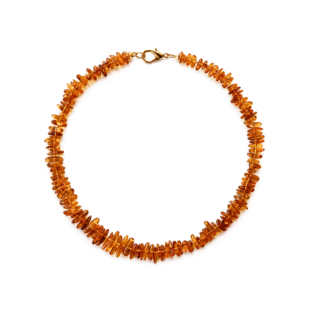 Bernstein Halsband für Hunde
