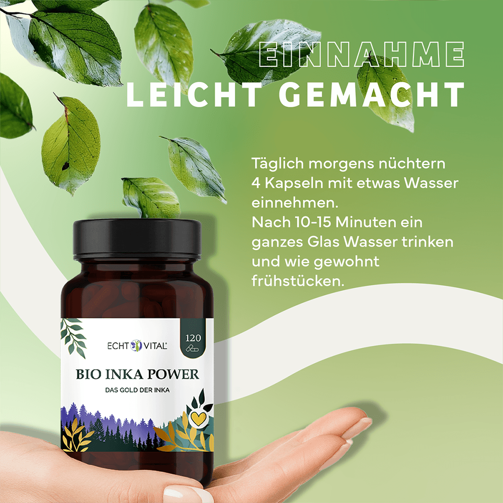 Bio Inka Power Kapseln