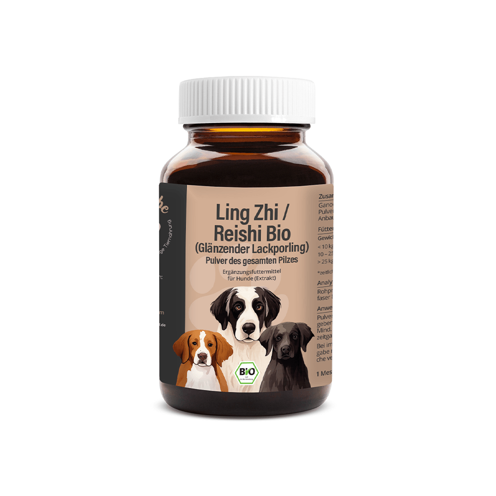 Bio Reishi/Ling Zhi Pulver für Hunde