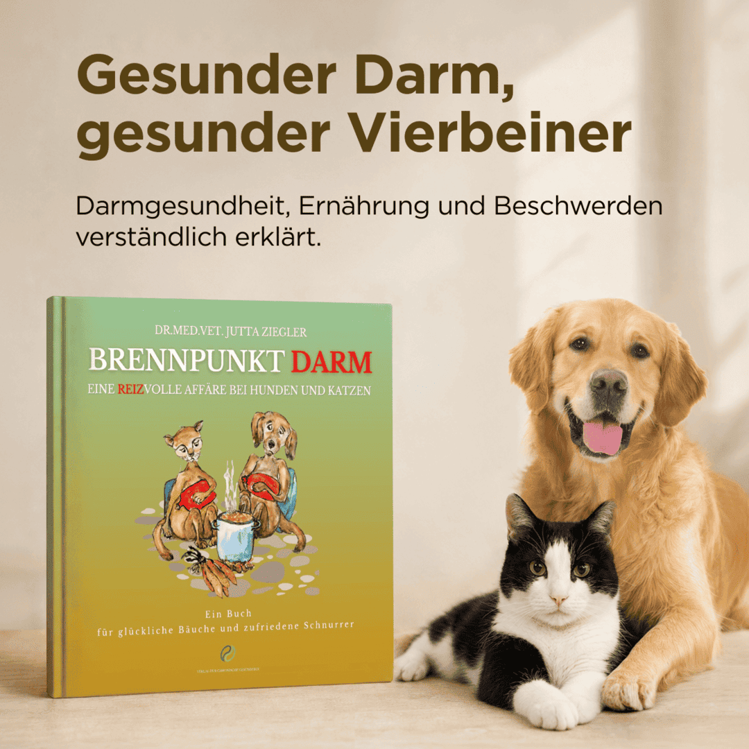 Brennpunkt Darm