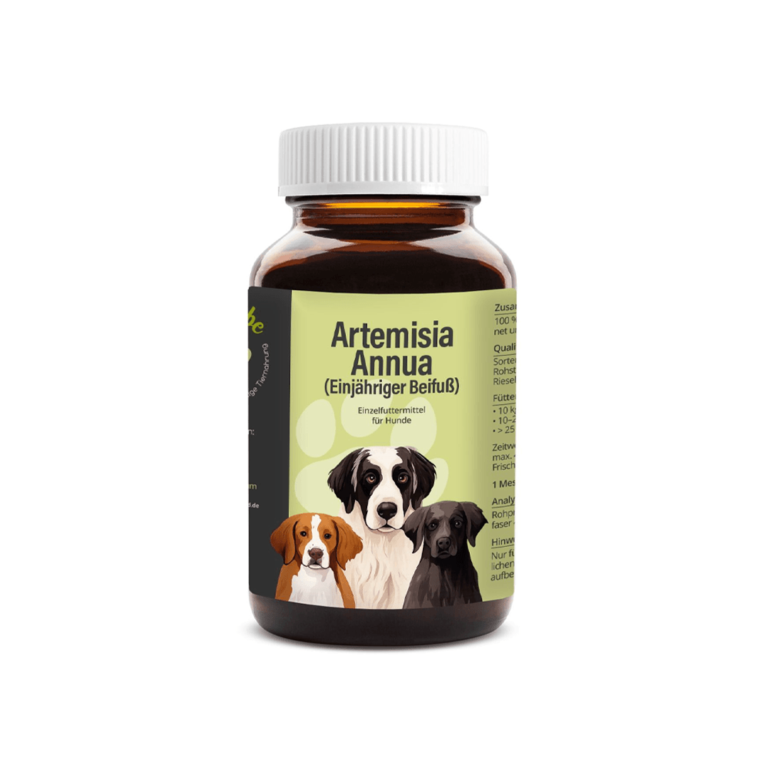 Artemisia annua (Einjähriger Beifuß) Pulver für Hunde