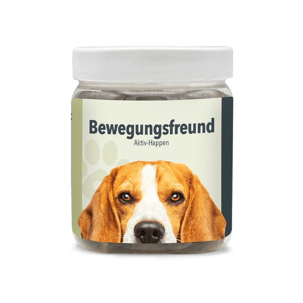Bewegungsfreund Leckerlis für Hunde