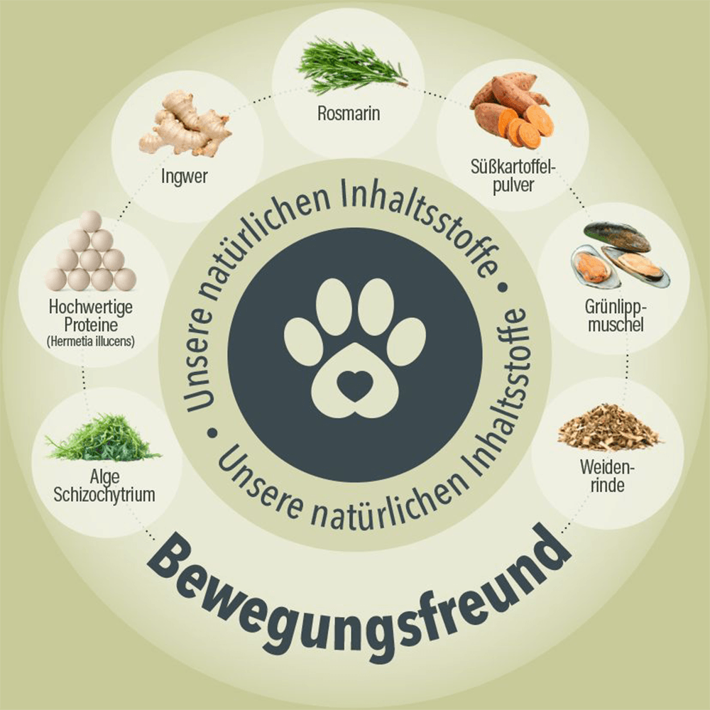 Bewegungsfreund Leckerlis für Hunde