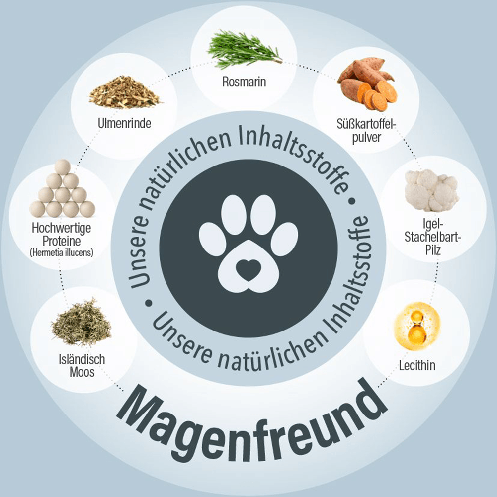 Magenfreund Leckerlis für Hunde