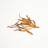 Cordyceps Sinensis Pulver