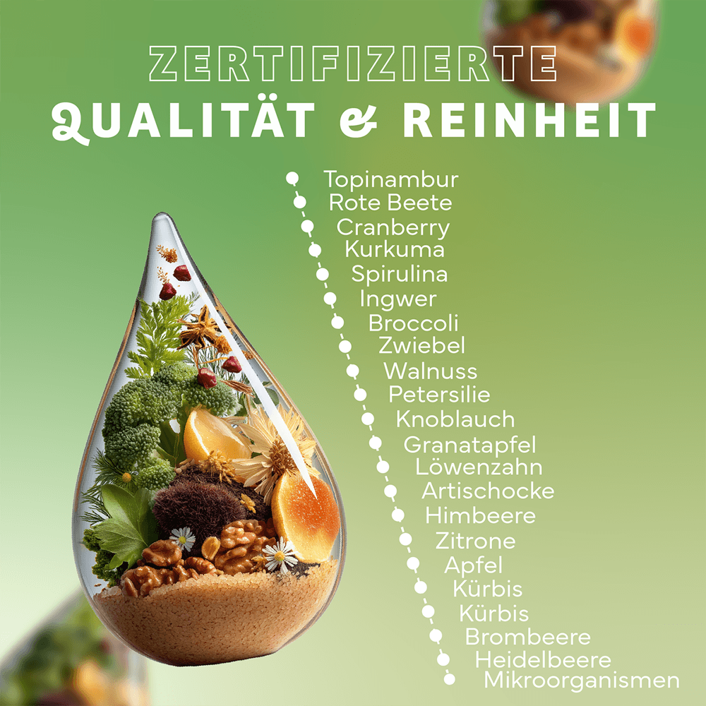 Darm Biopro Fermentgetränk