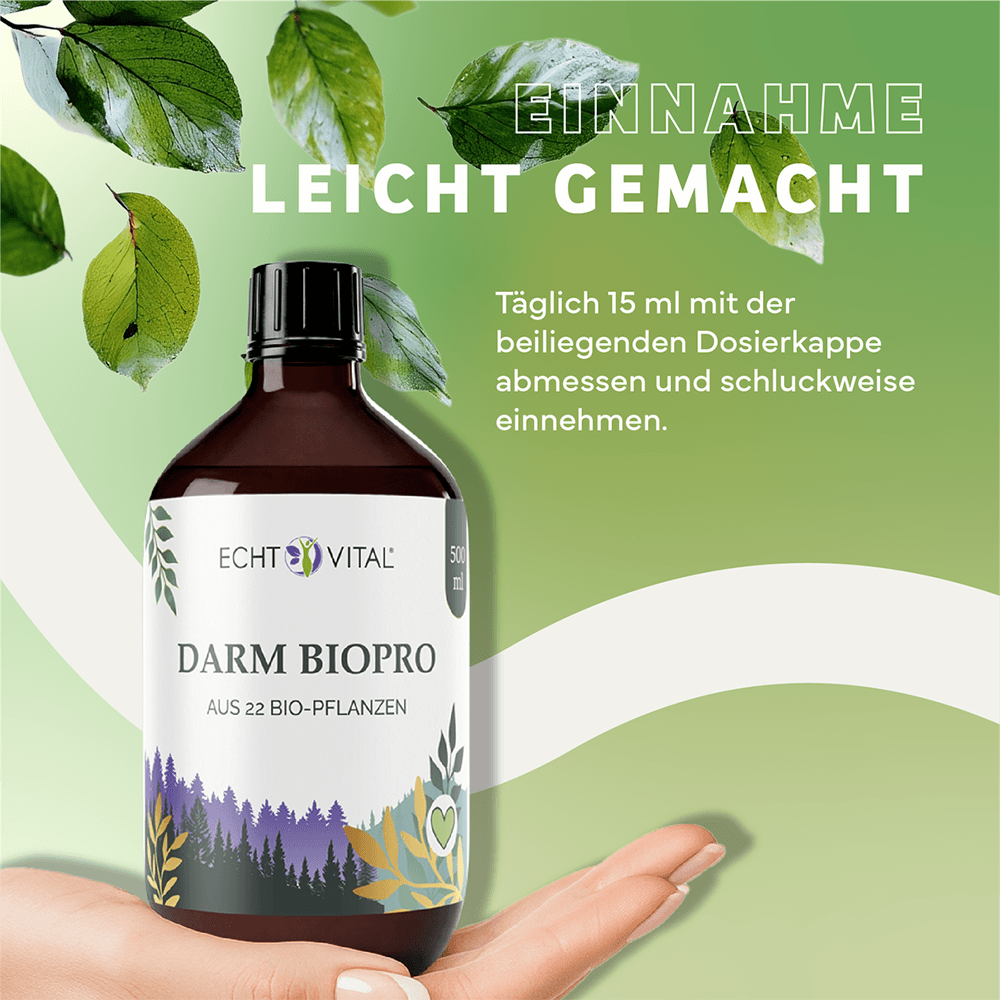 Darm Biopro Fermentgetränk
