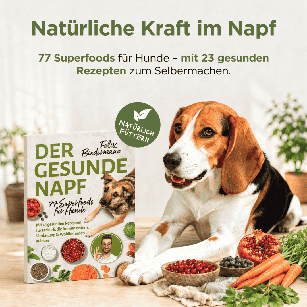 Der gesunde Napf – 77 Superfoods für Hunde