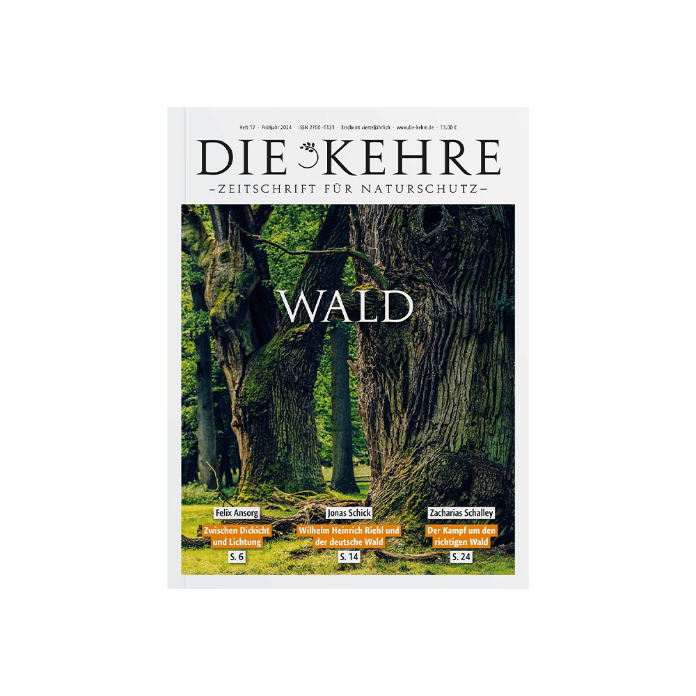 Die Kehre Nr. 17 – Wald