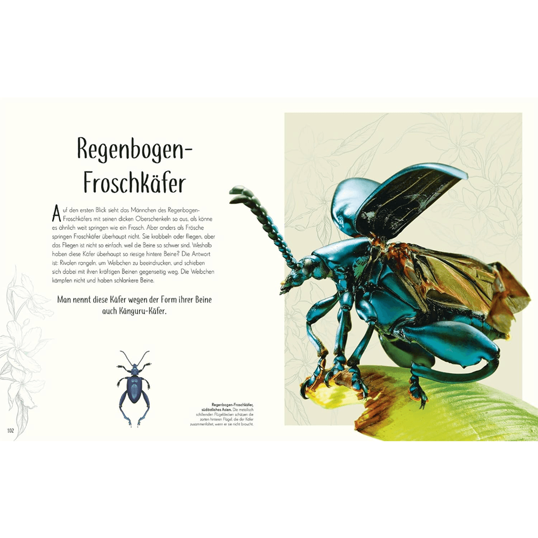 Wundervolle Welt der Insekten und Spinnentiere