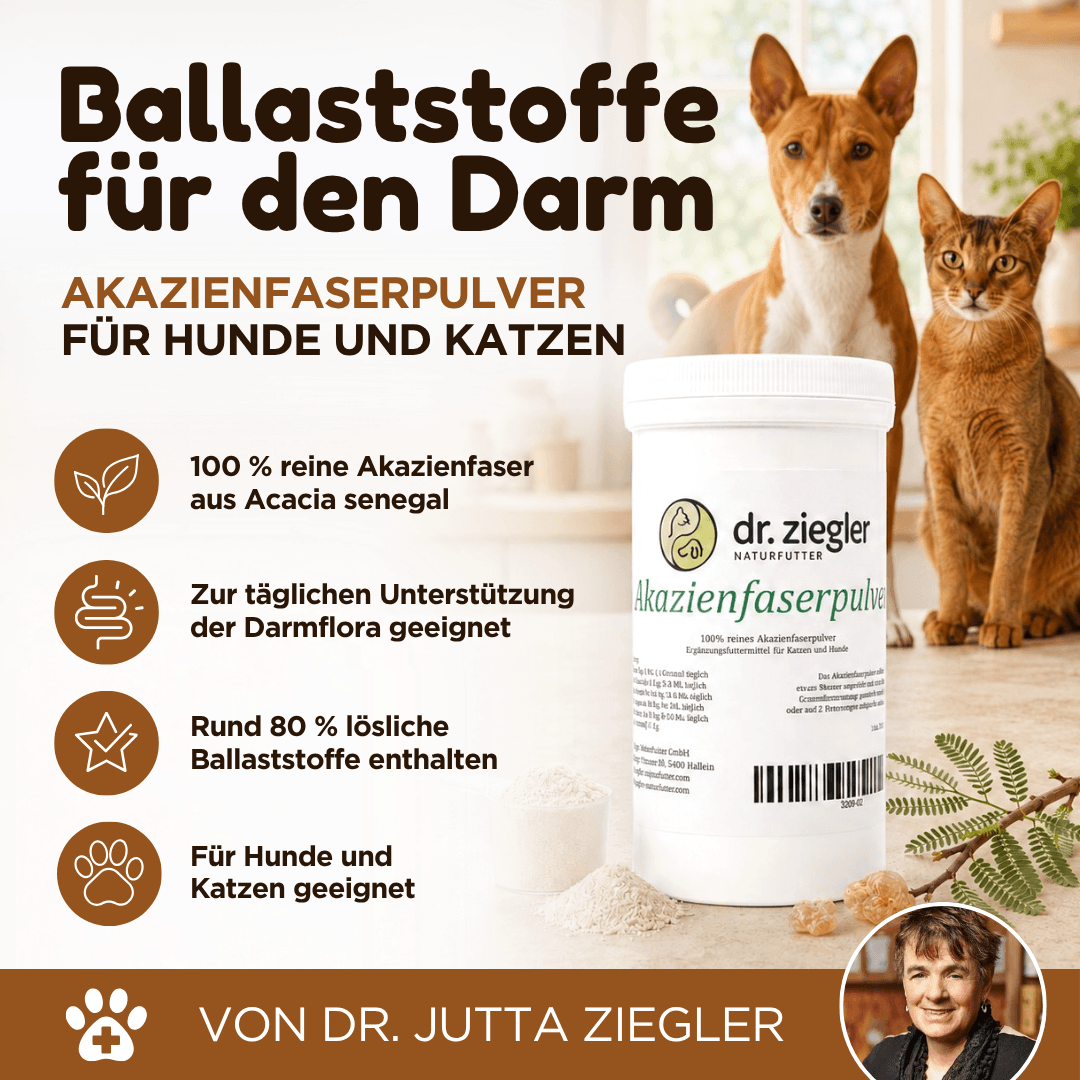 Akazienfaser Pulver für Hunde und Katzen