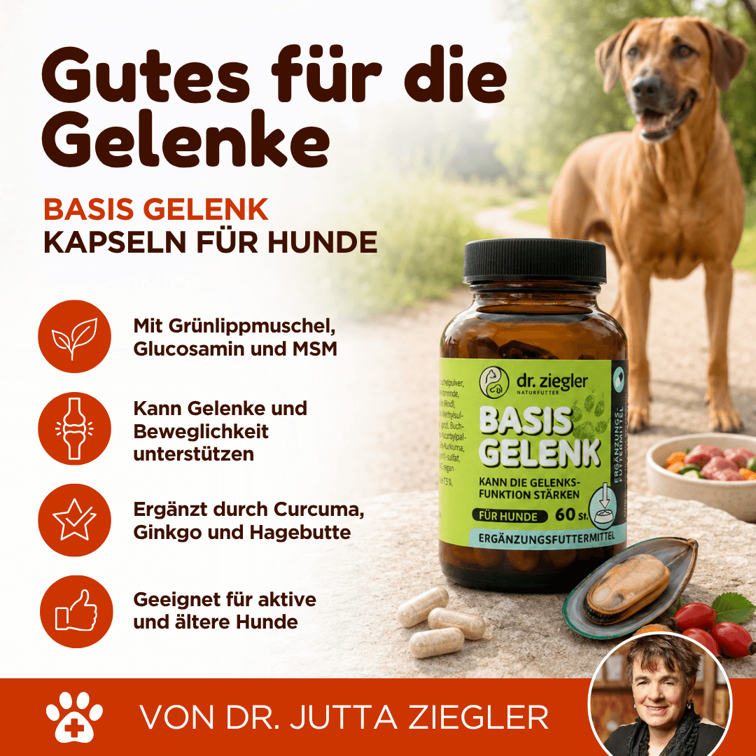 Basis Gelenk Kapseln für Hunde
