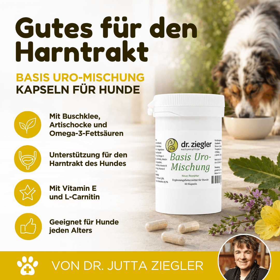 Basis Uro-Mischung Kapseln für Hunde