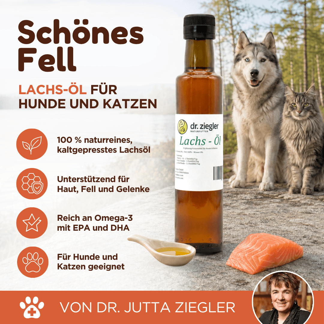Lachsöl für Hunde und Katzen