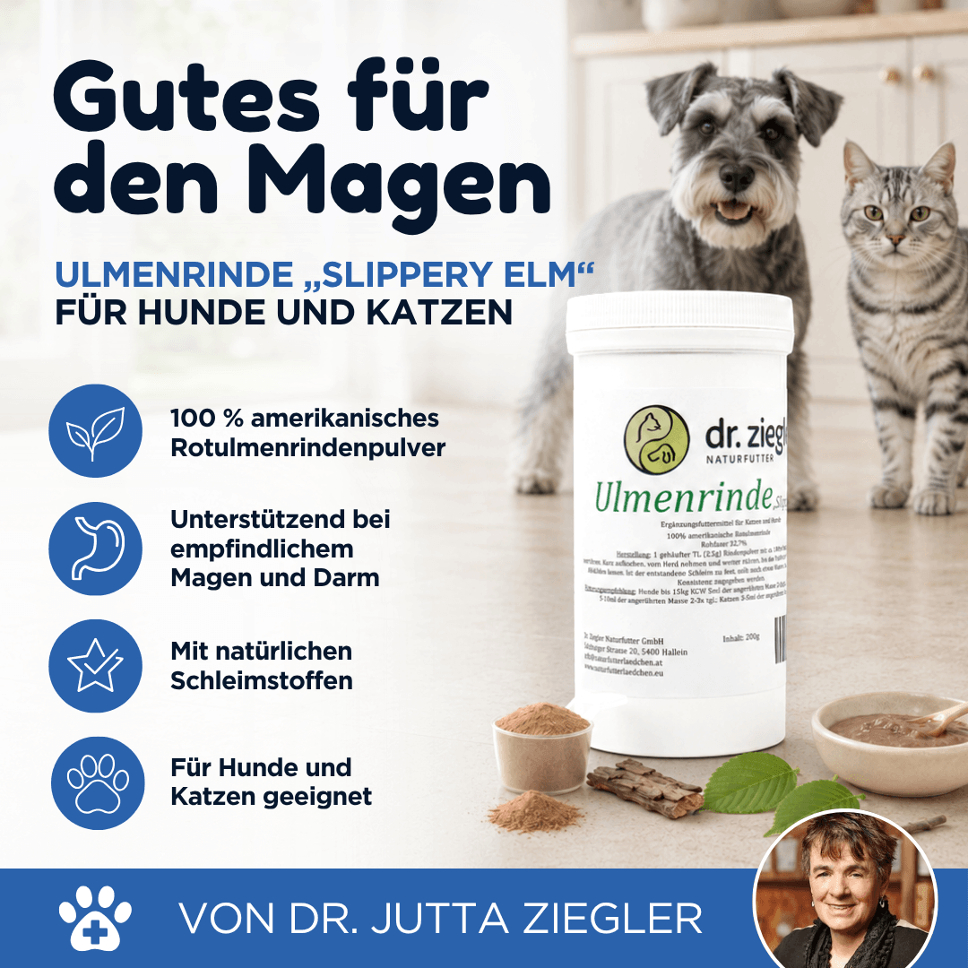 Ulmenrinde Pulver „Slippery Elm“ für Hunde und Katzen