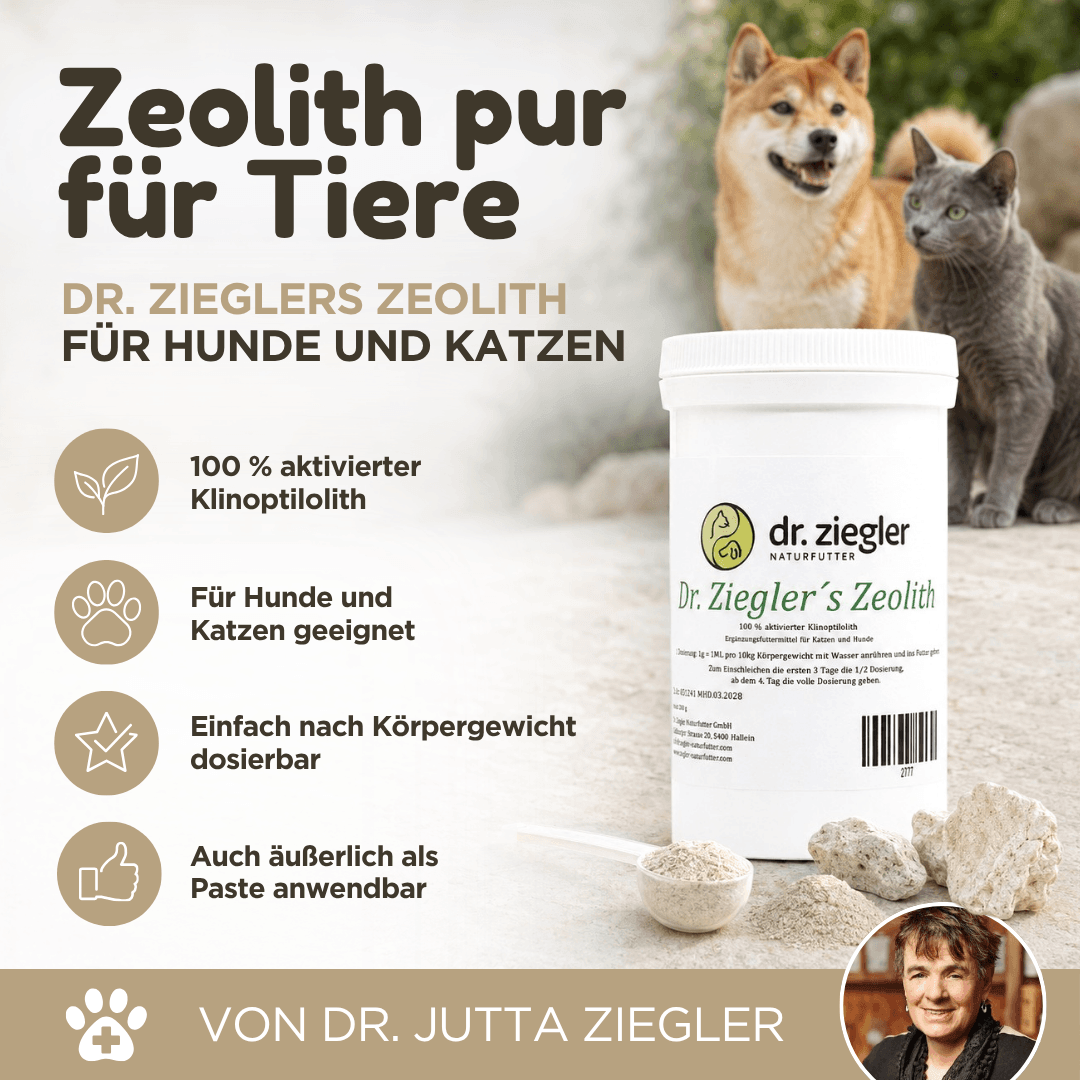 Zeolith für Hunde und Katzen