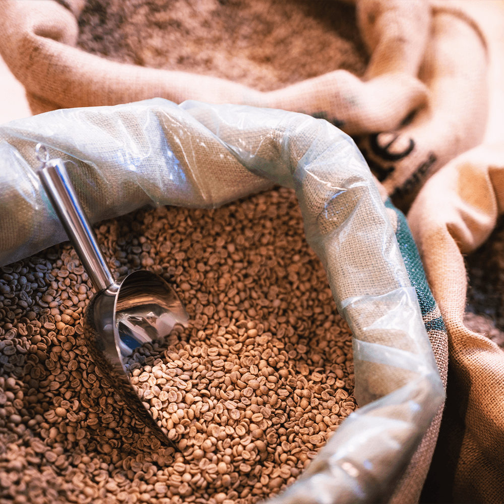 Bio Arabica Röstkaffee „Mexiko“