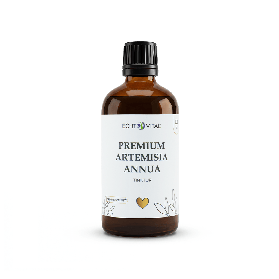 Premium Artemisia annua (Einjähriger Beifuß) Tinktur