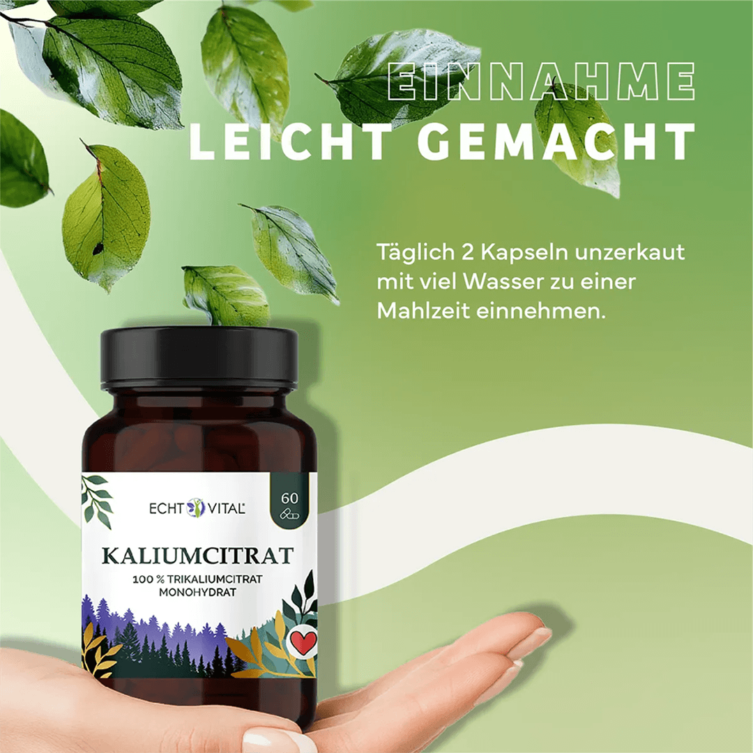 Kaliumcitrat Kapseln