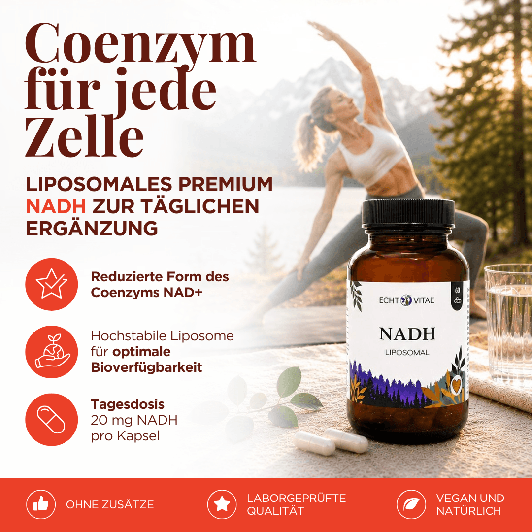 NADH Liposomal Kapseln