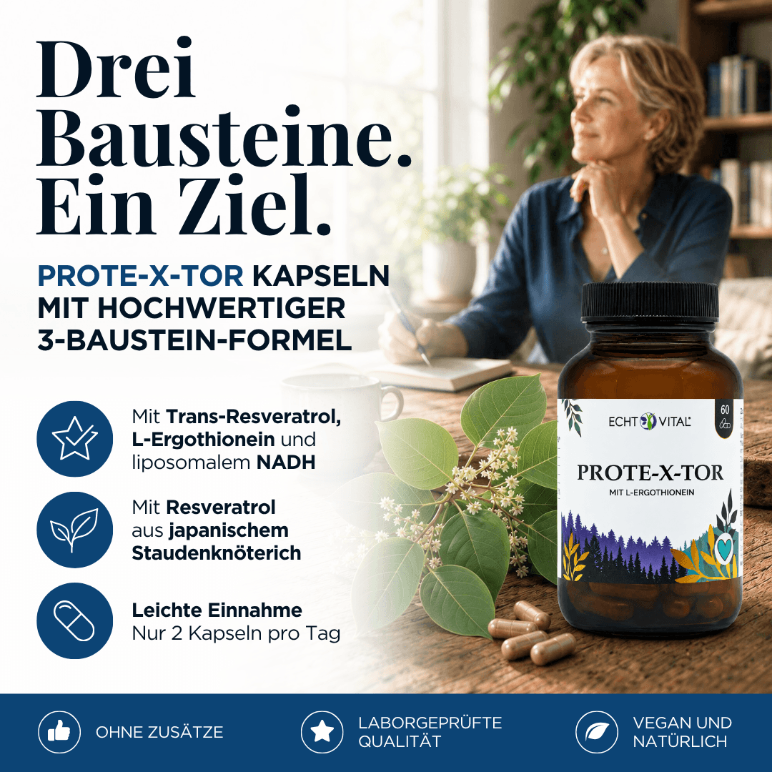 Prote-X-tor Kapseln