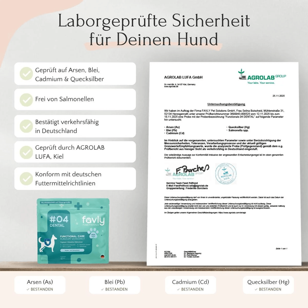 Dental Pulver für Hunde