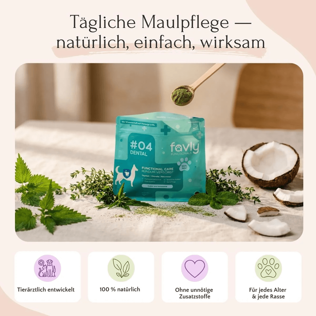Dental Pulver für Hunde