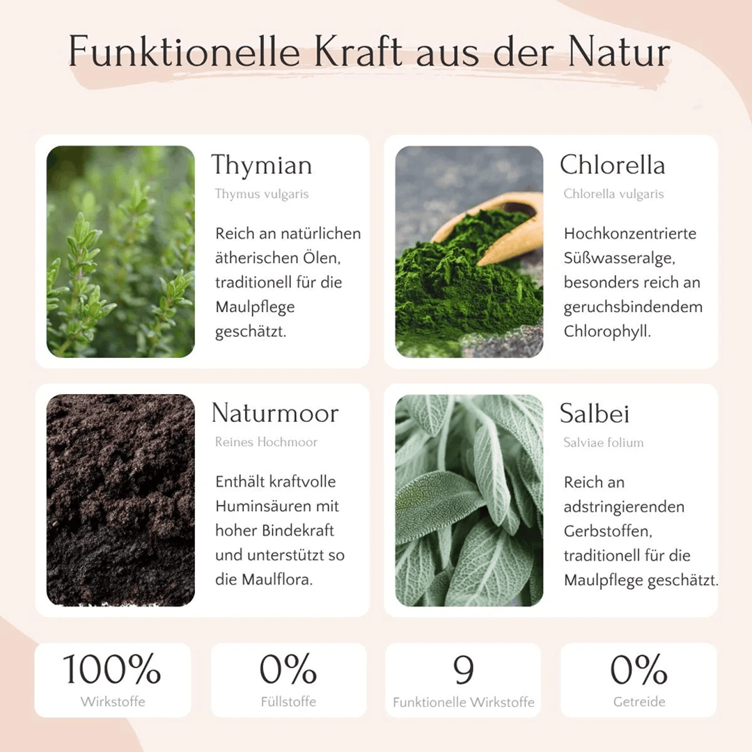 Dental Pulver für Hunde
