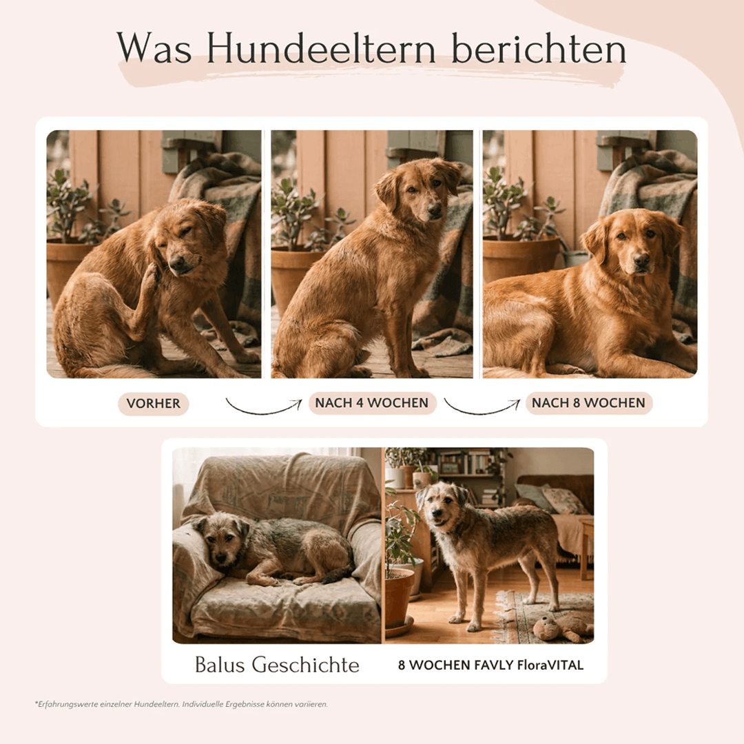 FloraVital Pulver für Hunde