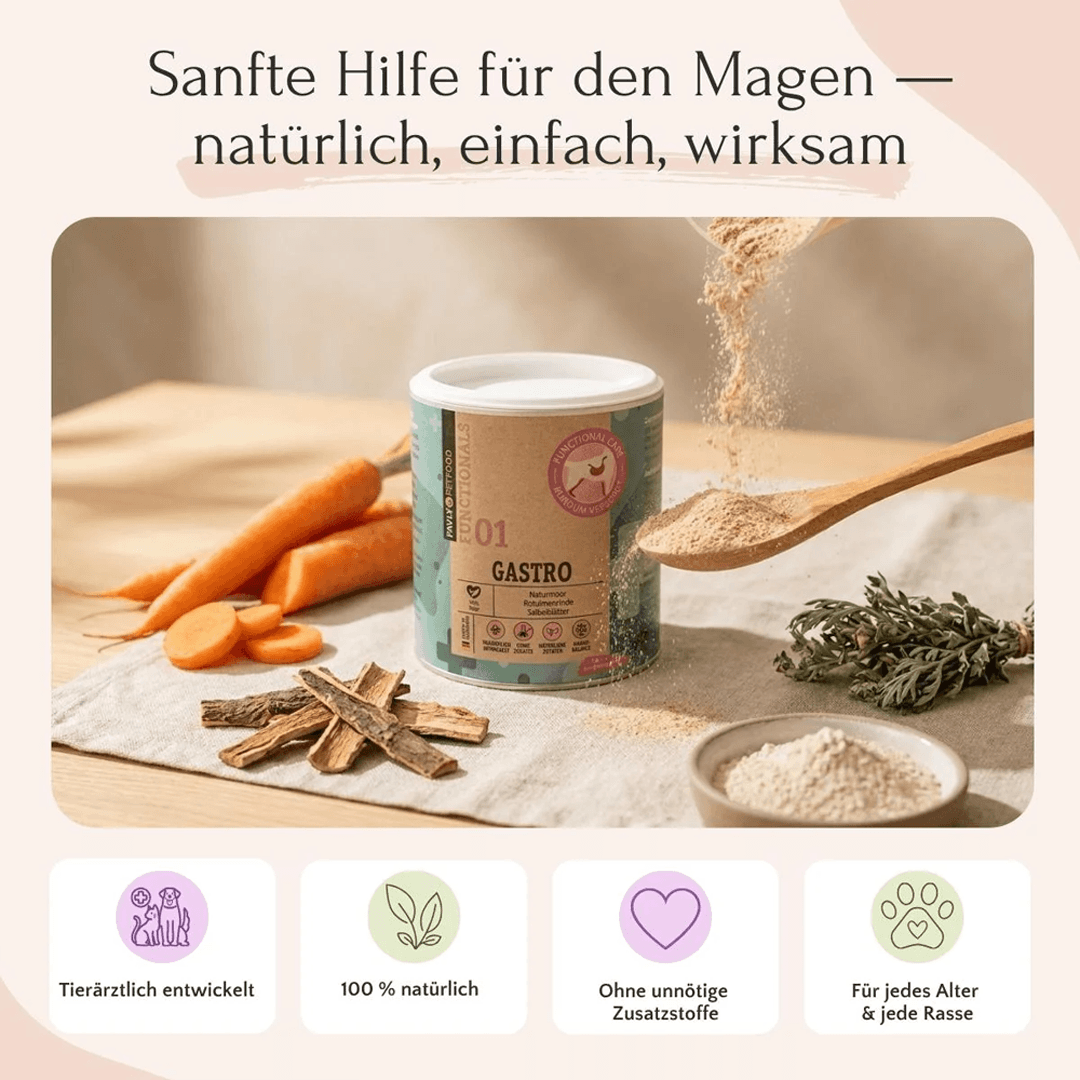 Gastro Pulver für Hunde