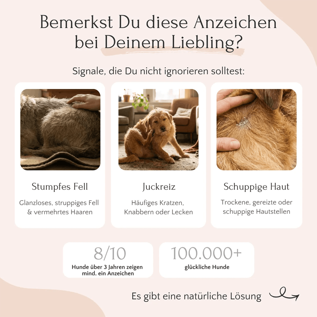 HepaSkin Pulver für Hunde
