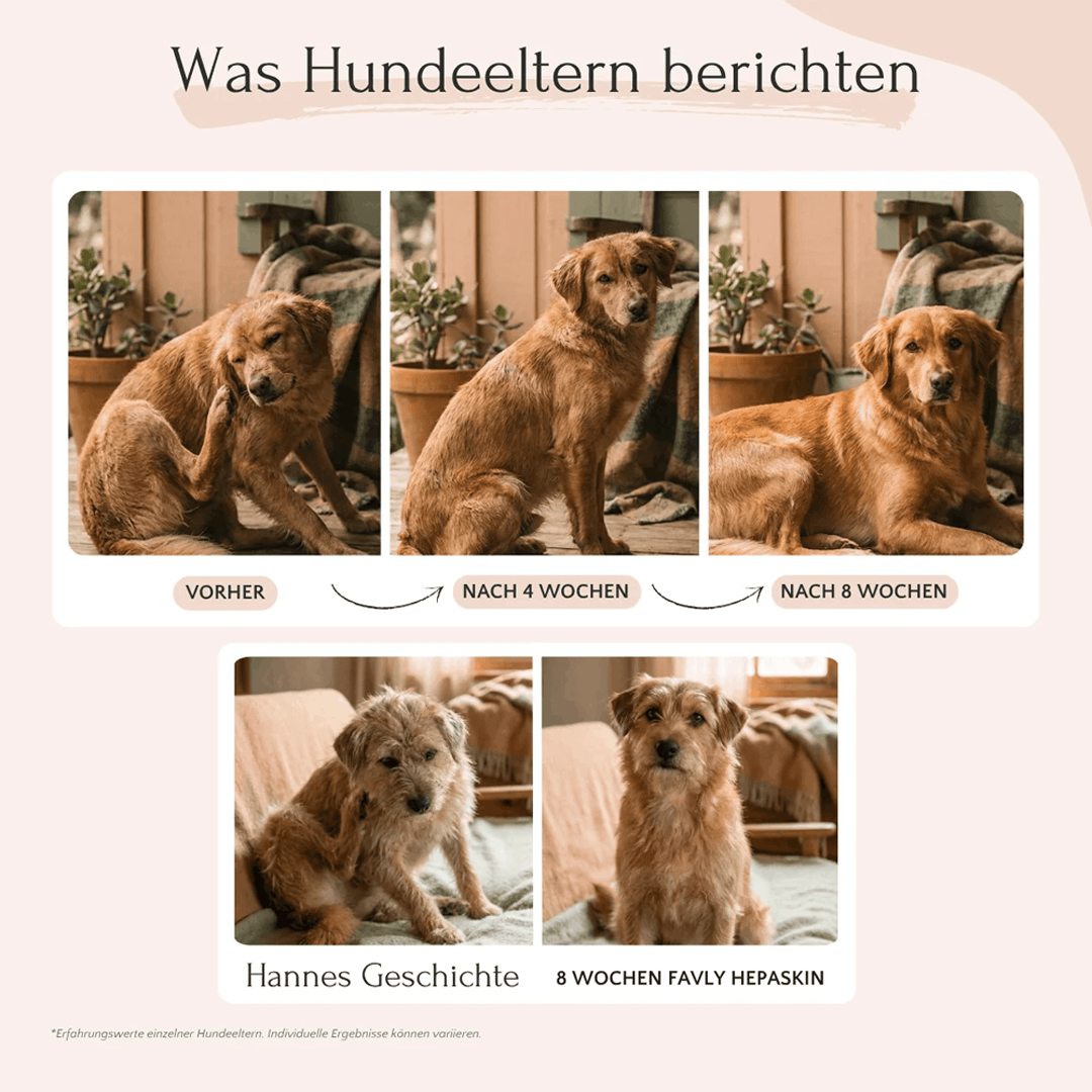 HepaSkin Pulver für Hunde