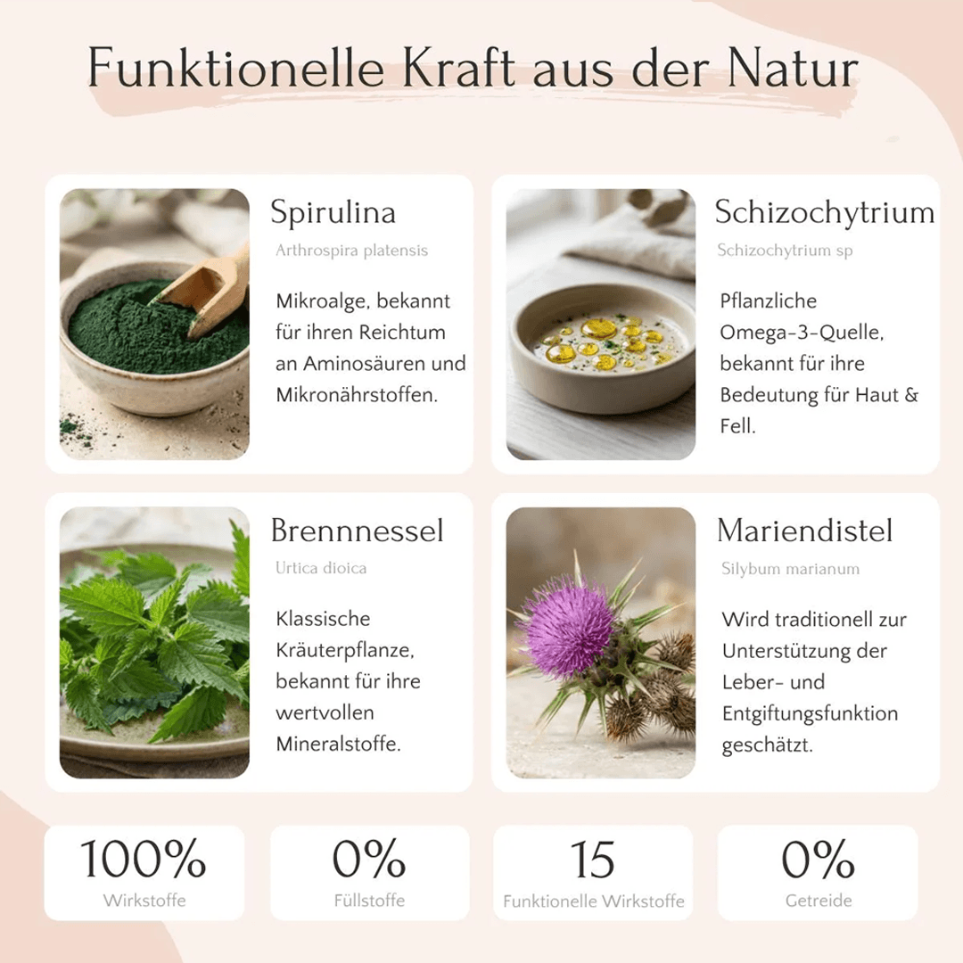 HepaSkin Pulver für Hunde
