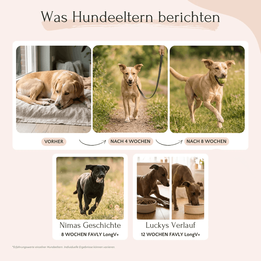 LongV+ Vitalstoffkomplex für Hunde