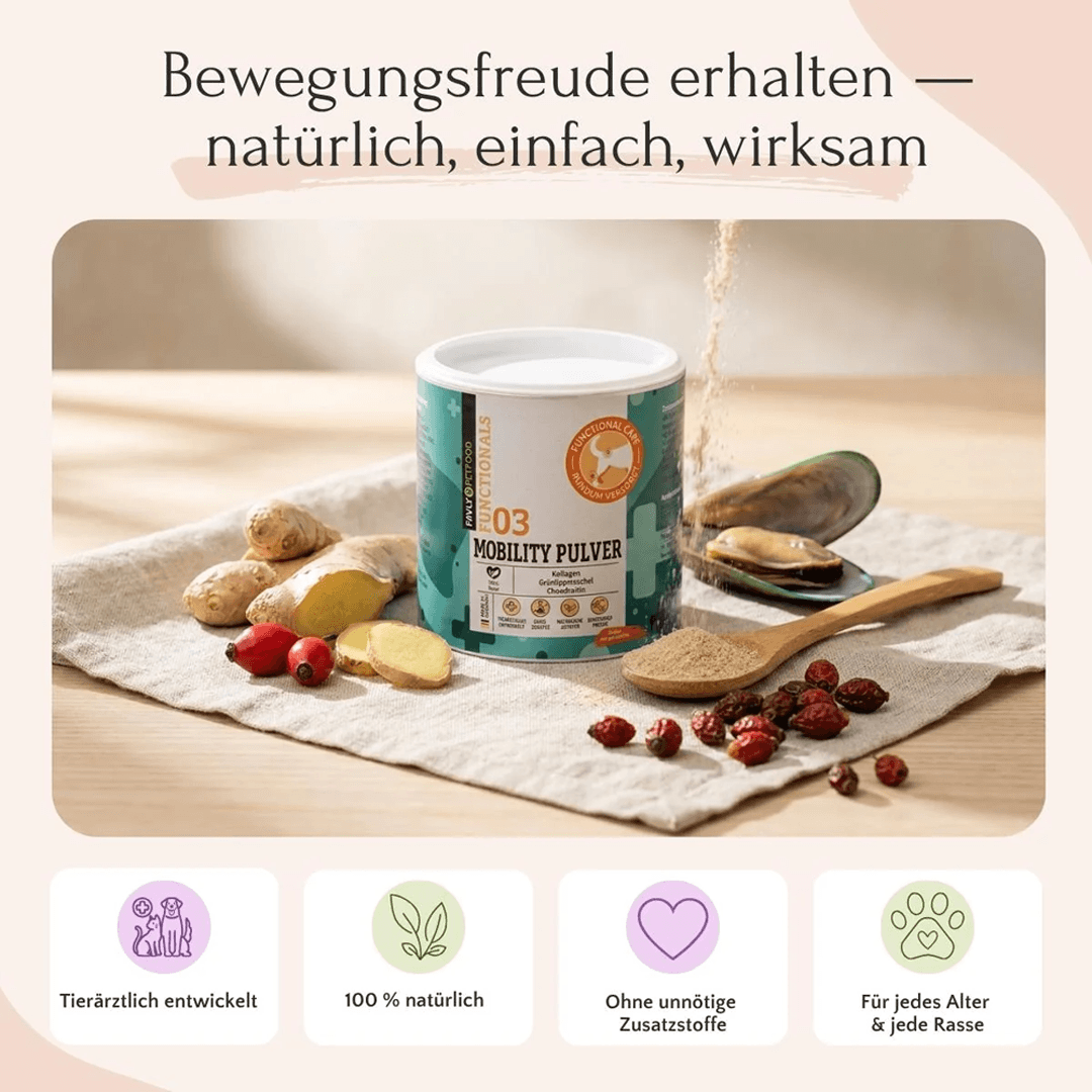 Mobility Pulver für Hunde