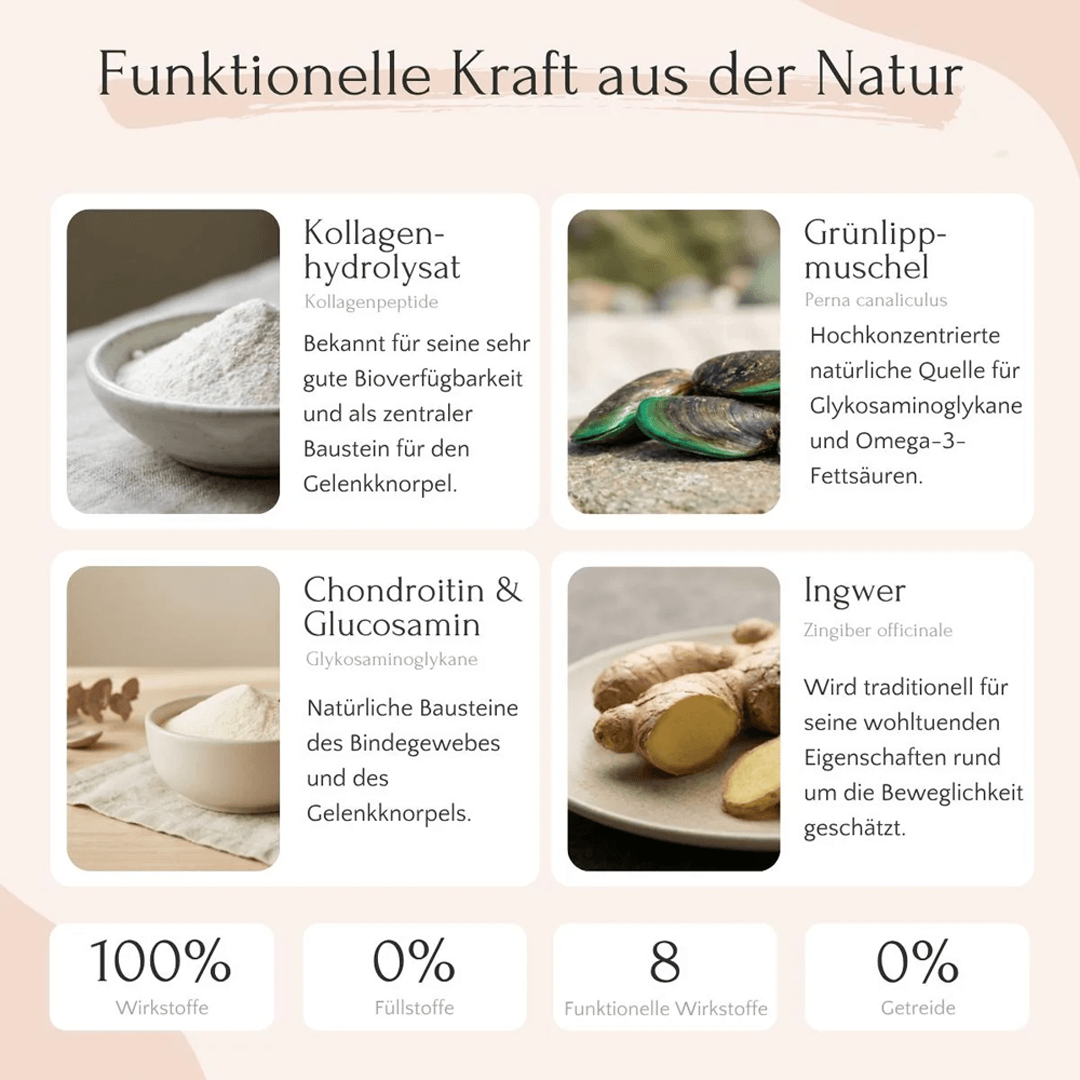 Mobility Pulver für Hunde