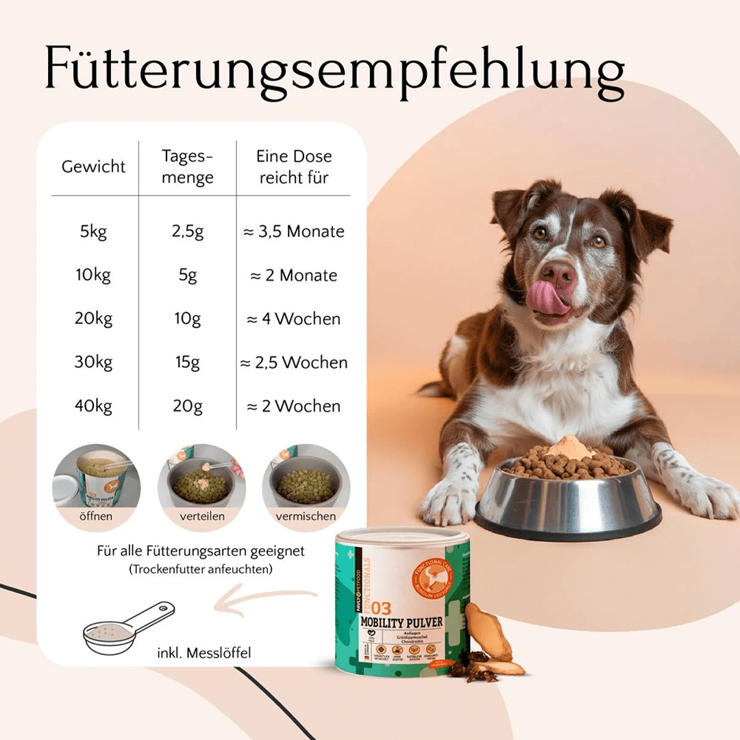 Mobility Pulver für Hunde