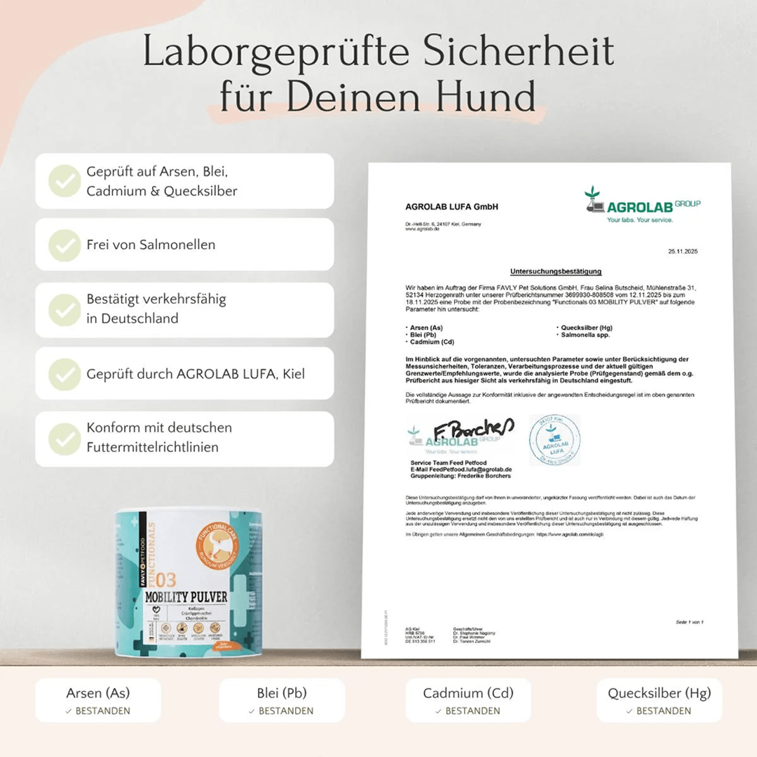 Mobility Pulver für Hunde