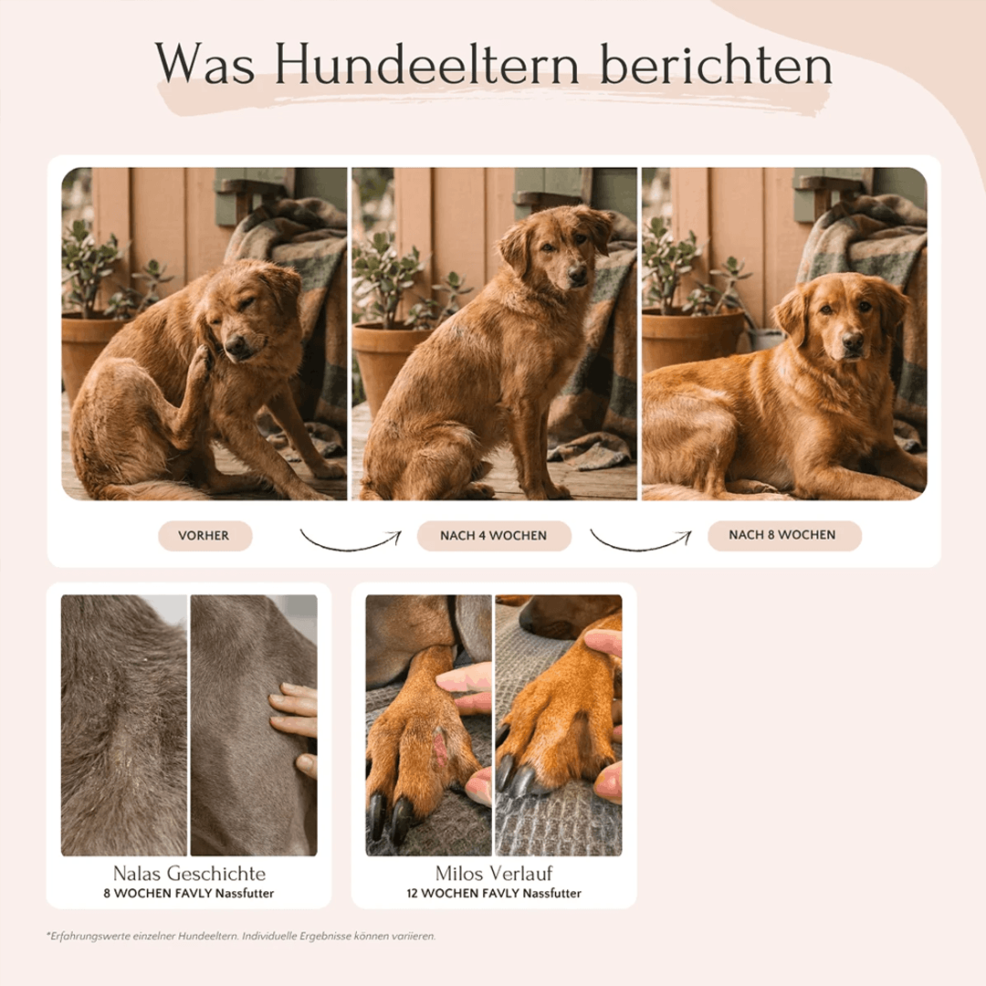 PURE Bites Hirsch für Hunde